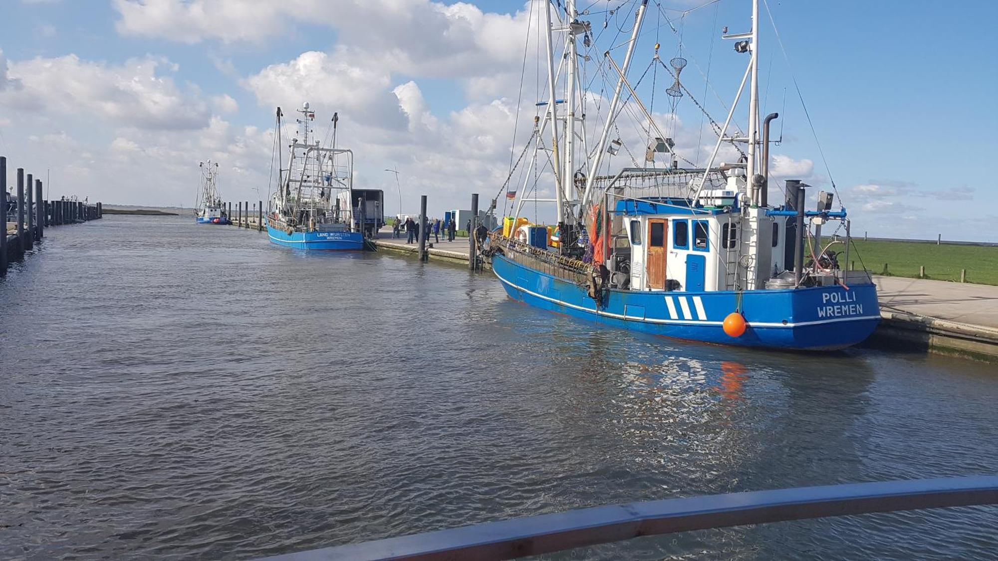 Ferienwohnung Alea, Zentrumsnah Bremerhaven Exteriör bild