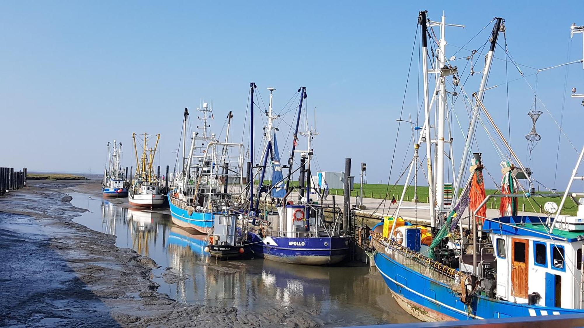 Ferienwohnung Alea, Zentrumsnah Bremerhaven Exteriör bild